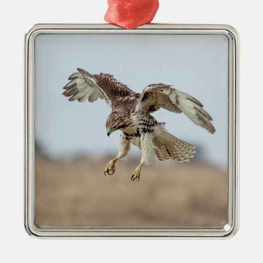 Onrijpe Rode Hawk Hovering Metalen Ornament (Voorkant)