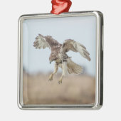 Onrijpe Rode Hawk Hovering Metalen Ornament (Links)