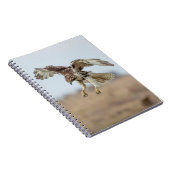 Onrijpe Rode Hawk Hovering Notitieboek (Rechterzijde)