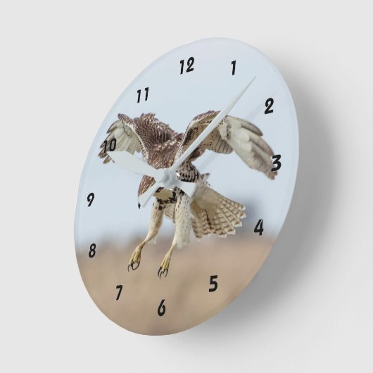 Onrijpe Rode Hawk Hovering Ronde Klok (Hoek)