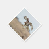 Onrijpe Rode Hawk Hovering Servetten (Hoek)