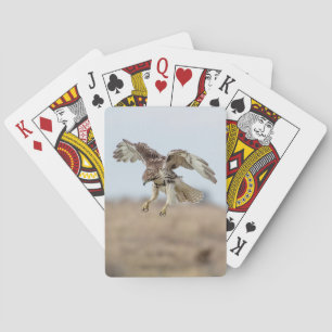 Onrijpe Rode Hawk Hovering Speelkaarten