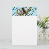 Onrijpe Rode Hawk in de Struik van Ocotillo Briefpapier (Staand voorkant)