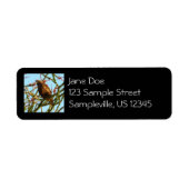 Onrijpe Rode Hawk in de Struik van Ocotillo Etiket (Voorkant)