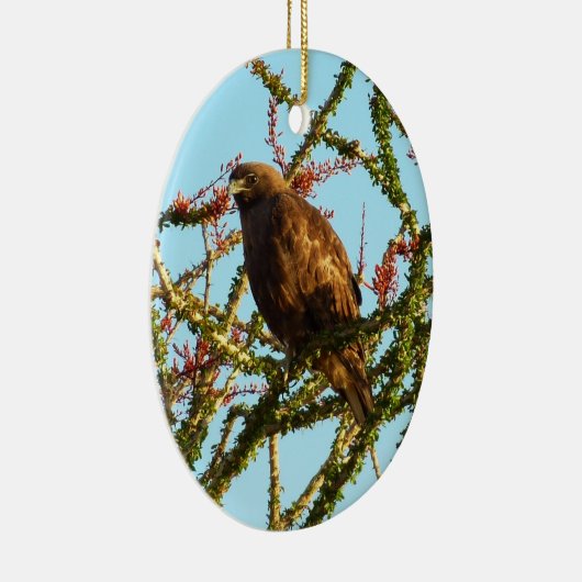 Onrijpe Rode Hawk in de Struik van Ocotillo Keramisch Ornament (Rechts)