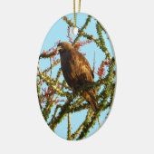 Onrijpe Rode Hawk in de Struik van Ocotillo Keramisch Ornament (Links)
