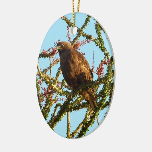 Onrijpe Rode Hawk in de Struik van Ocotillo Keramisch Ornament (Links)