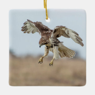 Onrijpe Rode Staart Havik die zweeft Keramisch Ornament