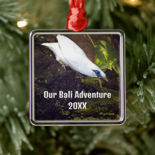 Ons Bali Avontuur 2026 Bali Myna Vogel Kunst Metalen Ornament