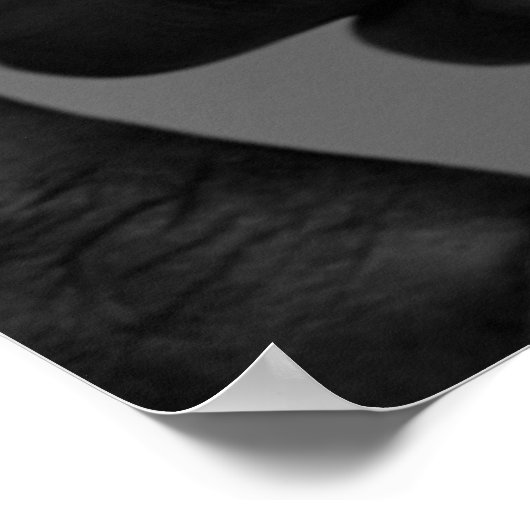 Ons belangrijkste doel in dit leven citeert poster (Hoek)