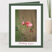 Ons diepste medeleven kaart (Voorkant)