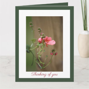 Ons diepste medeleven kaart