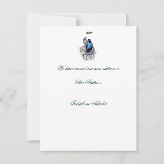 Ons eerste startpunt aankondiging (Achterkant)