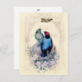 Ons eerste startpunt aankondiging (Voorkant / Achterkant)