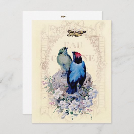 Ons eerste startpunt aankondiging (Voorkant / Achterkant)