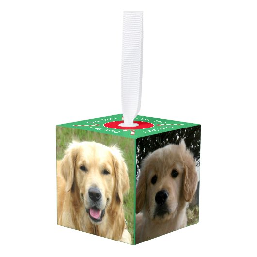 Ons gezelschapsdier 5 Fotokubus Ornament (Voorkant hoekig)