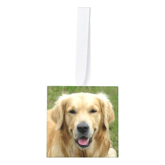 Ons gezelschapsdier 5 Fotokubus Ornament (Voorkant)