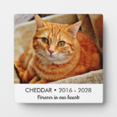Ons Hart Voor Altijd Kattenherdenkingsfoto Fotoplaat (Voorkant)