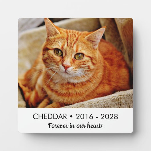 Ons Hart Voor Altijd Kattenherdenkingsfoto Fotoplaat (Voorkant)