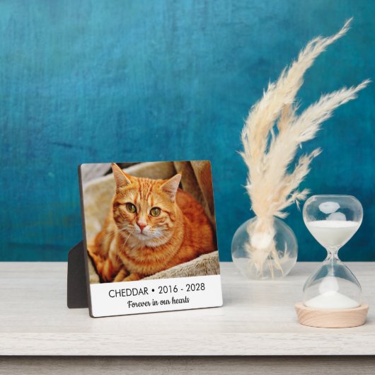 Ons Hart Voor Altijd Kattenherdenkingsfoto Fotoplaat (Insitu)