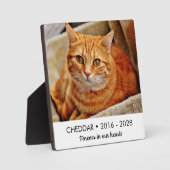 Ons Hart Voor Altijd Kattenherdenkingsfoto Fotoplaat (Voorkant)