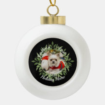 Ons huisdier's eerste vakantiehuis Ornament