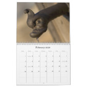 Ons Jaar Kalender (Feb 2026)