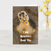 **ONS JUBILEUM** IK BEN KWAKZALVERS OVER "JIJ!" KAART (Gele Bloem)