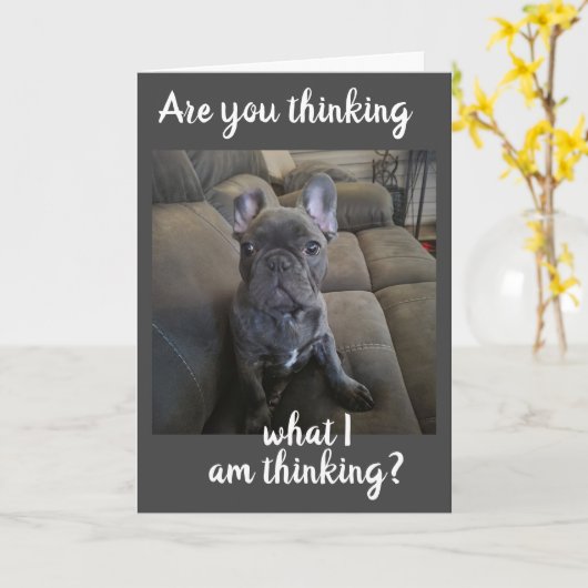 "ONS JUBILEUM", WAT DENK JE DAT IK DENK? C KAART (Gele Bloem)