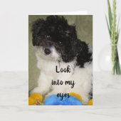 "ONS JUBILEUM", WAT DENK JE DAT IK DENK? KAART (Voorkant)