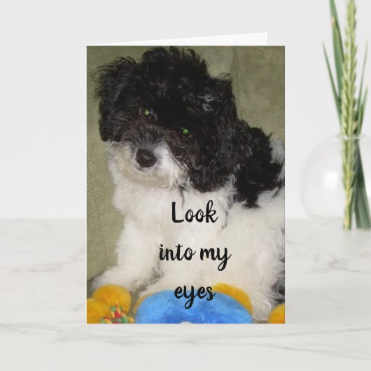 "ONS JUBILEUM", WAT DENK JE DAT IK DENK? KAART (Voorkant)