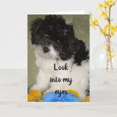 "ONS JUBILEUM", WAT DENK JE DAT IK DENK? KAART (Gele Bloem)