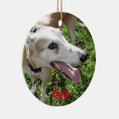 Ons Ornament Pet Dog (Rechts)