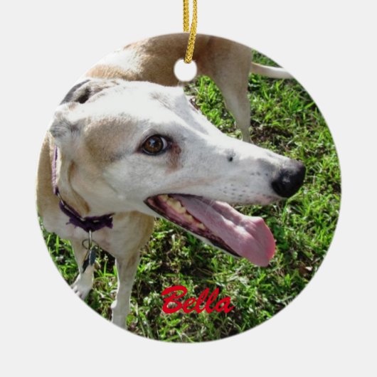 Ons Ornament Pet Dog (Voorkant)