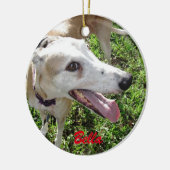 Ons Ornament Pet Dog (Links)
