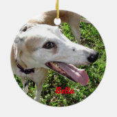 Ons Ornament Pet Dog (Achterkant)