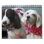 Ons pakket agenda 2012, klein kalender (Hoes)