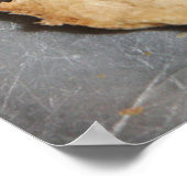 Ons Poster van de Manuscript van de Vader (Hoek)