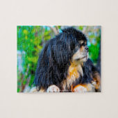 Ons Tibetaans Spanjaard Ons Gezinsdeel Legpuzzel (Horizontaal)