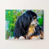 Ons Tibetaans Spanjaard Ons Gezinsdeel Legpuzzel (Horizontaal)