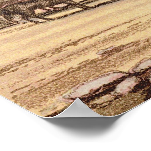 Ons woestijnkamp poster (Hoek)