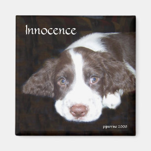 Onschuld - Puppy Liefde Magneet