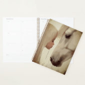 Onschuldige Band – Kind en Paarden Kunst Planner (Display)