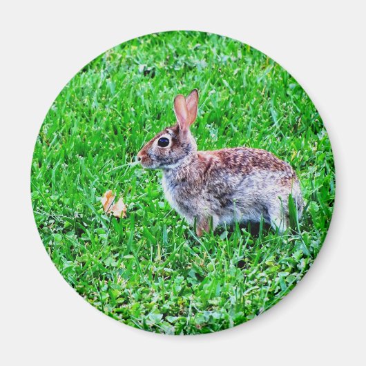 Onschuldige oogmagneet magneet (Voorkant)