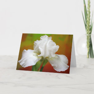 "Onsterfelijkheid" Iris Fotografie Feestdagen Kaart