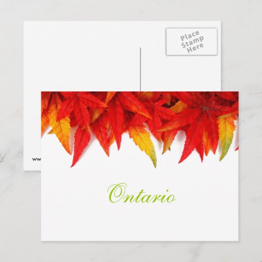 Ontario Autumn Leaves Briefkaart (Voorkant / Achterkant)