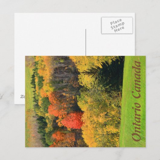 Ontario Canada Briefkaart (Voorkant / Achterkant)