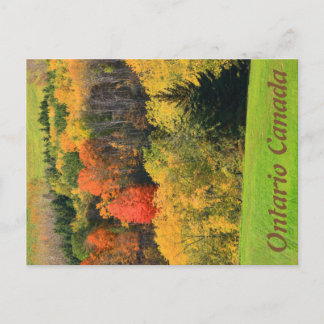 Ontario Canada Briefkaart