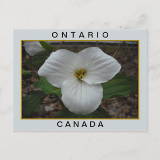 Ontario, Canada Trillium Briefkaart