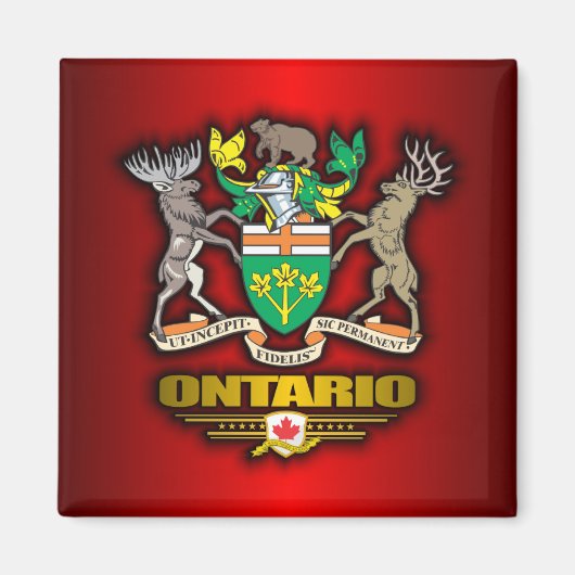 Ontario COA Magneet (Voorkant)